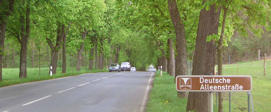 Deutsche Alleenstraße