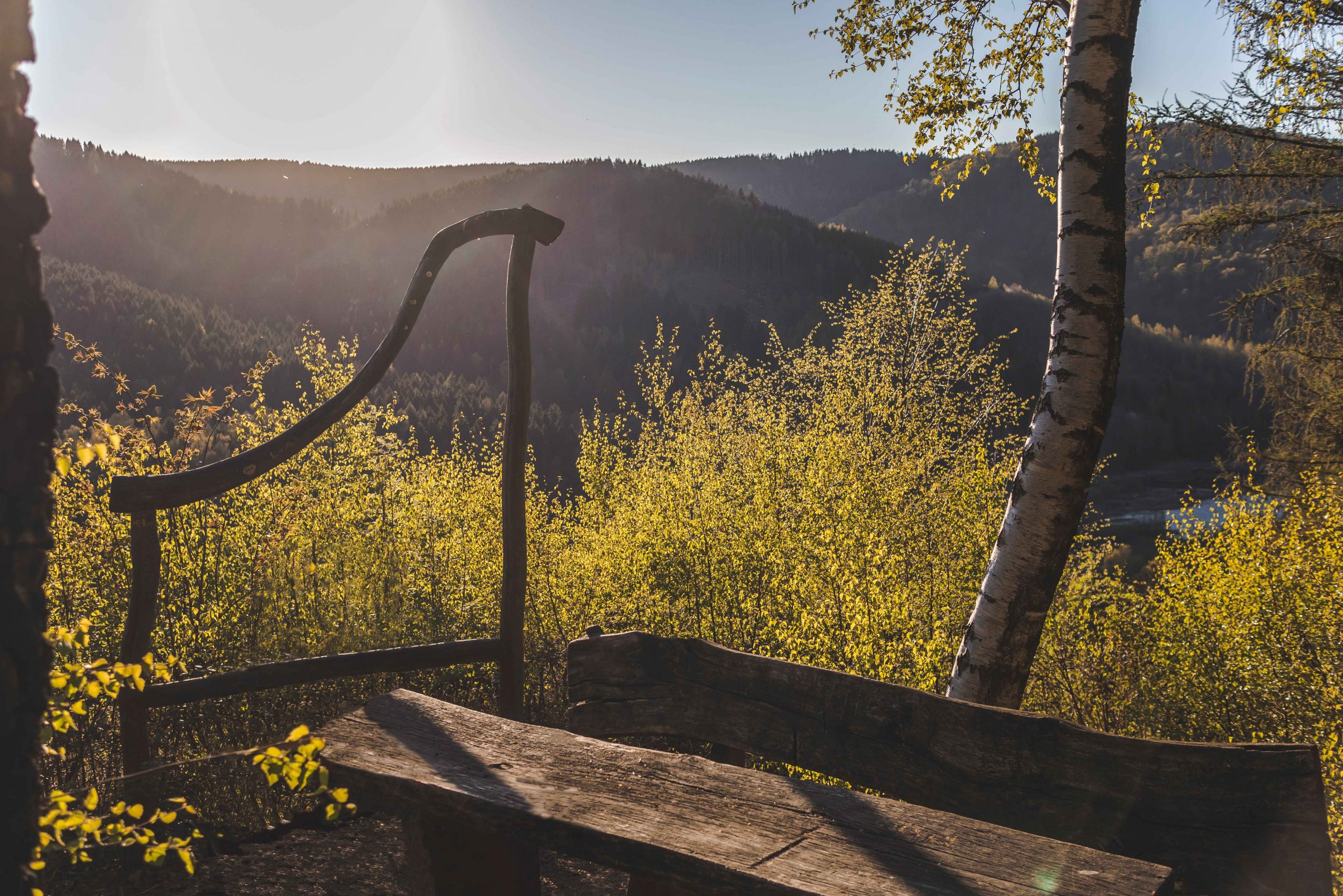 Steinway-Trail-6867-bearbeitet-web